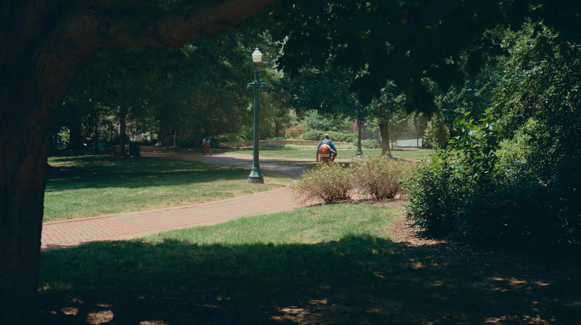 A person walking through a green park on a summer day