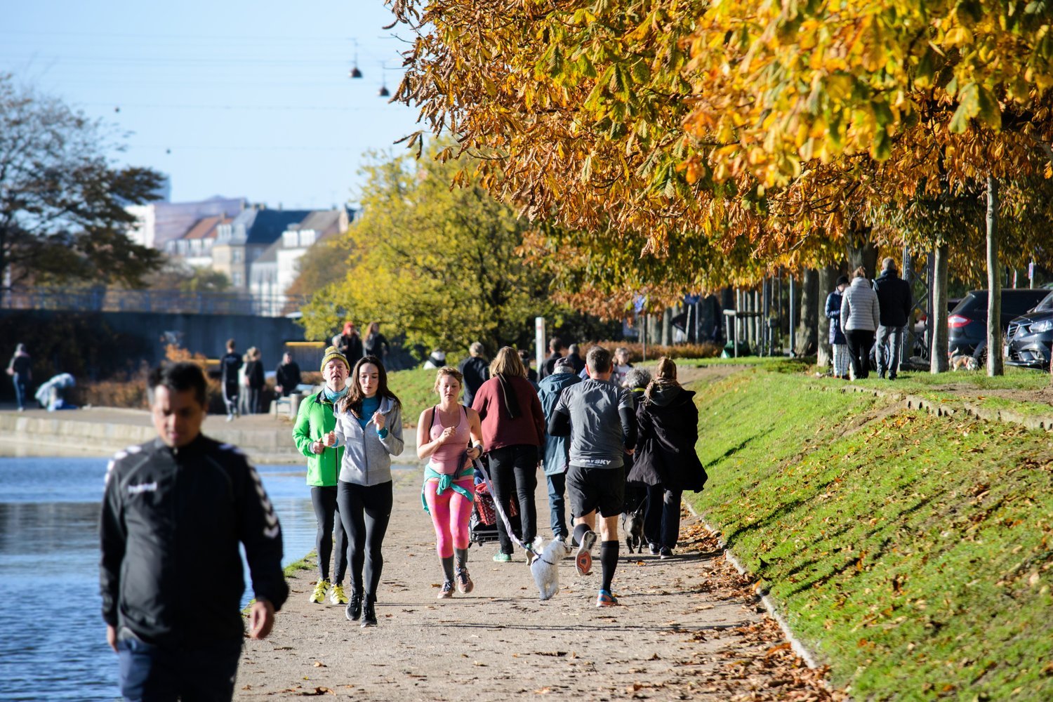 Hvordan taber man sig? 13 konkrete råd med rod i videnskaben