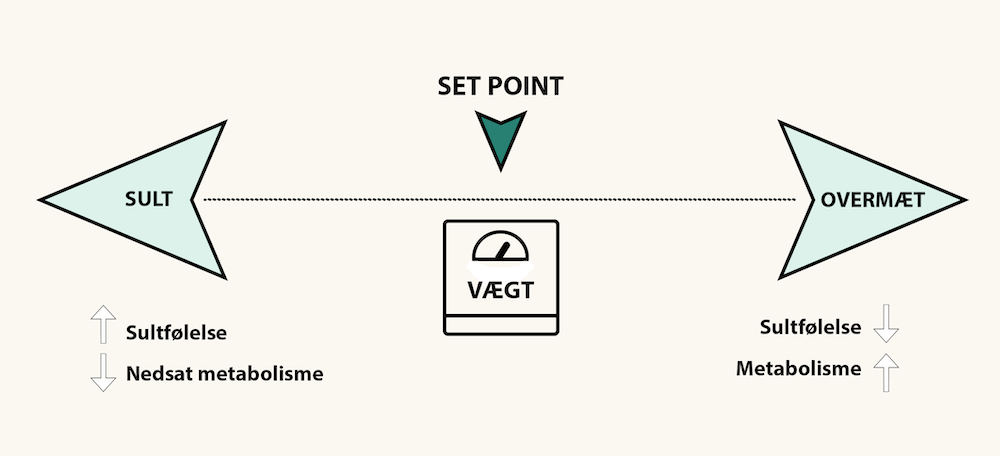 Set point-teorien: Kan du ændre din grundvægt? 
